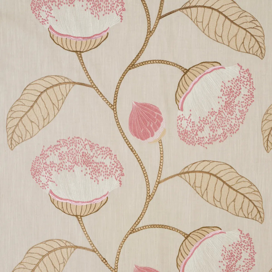 Schumacher - Celinda Embroidery in Blush