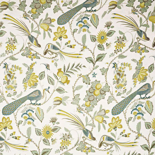 Schumacher - Campagne