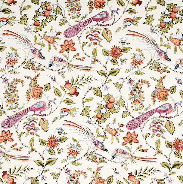 Schumacher - Campagne