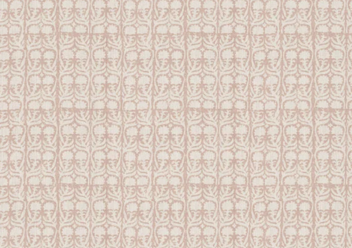 Penny Morrison - Ashok in Pink