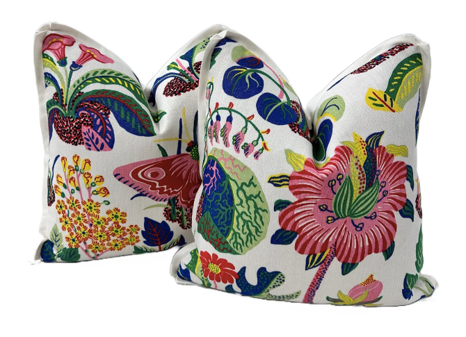 Schumacher - Exotic Butterfly in Spring