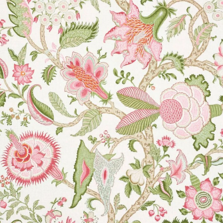 Schumacher - Arborvitae